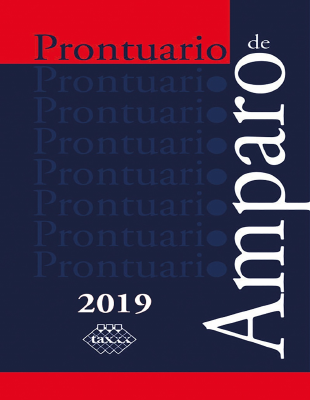 Prontuario_de_Amparo_2019 - C.P. Jose Perez Chavez-C.P. Ray.pdf
